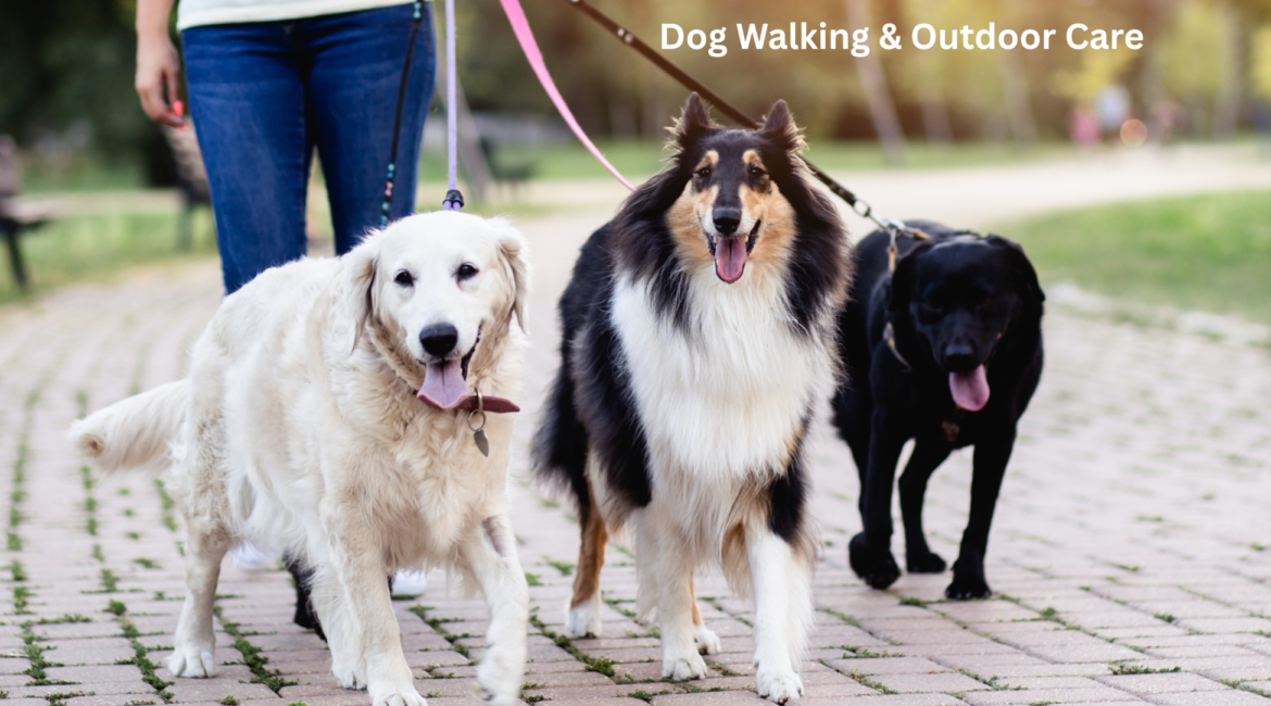 Dog Walking & Outdoor Care