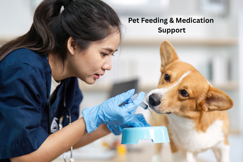 Pet Feeding & Medication Support
