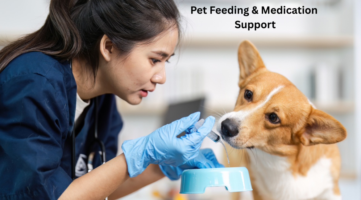 Pet Feeding & Medication Support