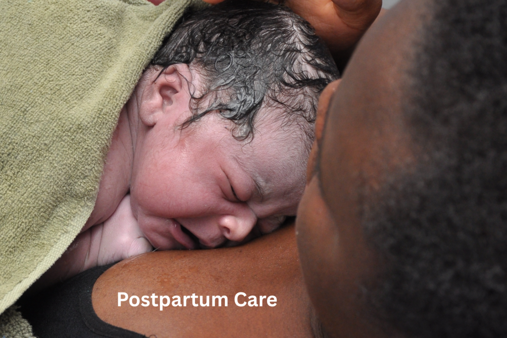postpartum caregiver