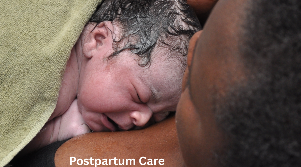 postpartum caregiver
