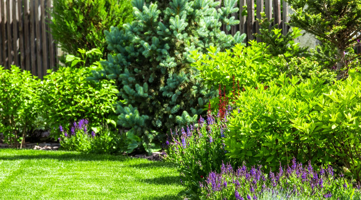 gardener trimming green lawn and maintaining garden in Toronto