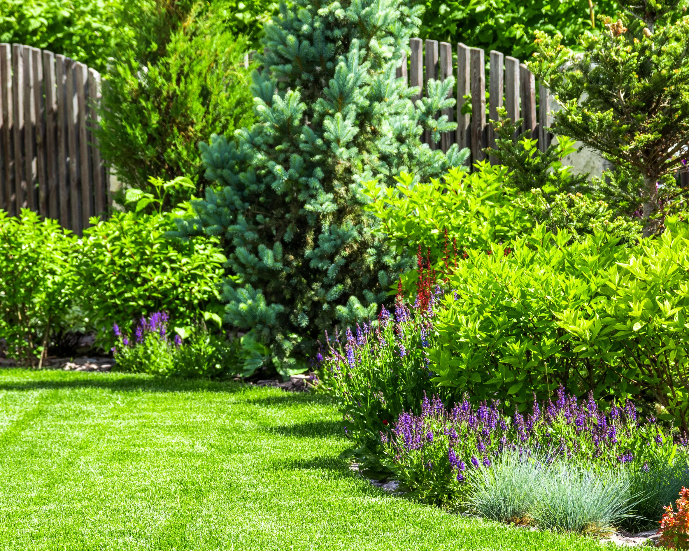 gardener trimming green lawn and maintaining garden in Toronto